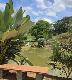 Natural Camping Arenal Volcano