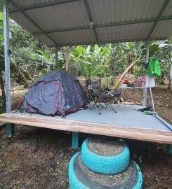 Alouatta Hanging Bridges, Aventure and Lodge